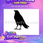 Free graceful flying Free detailed black Crow Silhouette Free SVG - Instant Download
