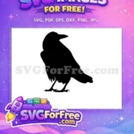 Free Black Crow Silhouette Free Standing Sharp Claws Halloween Free SVG - Instant Download
