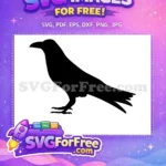 Free Majestic Crow Silhouette Free Sharp Beak Talons Wildlife Art Free SVG - Instant Download