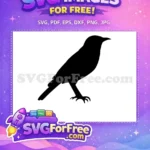 Free Simple Black Crow Free Detailed Bird Silhouette Free SVG - Instant Download