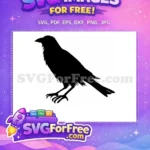 Free Black Flying Crow Free Detailed Raven Silhouette Nature Bird Free SVG - Instant Download