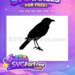 Free Flying Crow Free Dark Silhouette Halloween Decor Free SVG - Instant Download