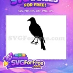 Free Dark Crow Silhouette Free Sharp Beak Claws Halloween Decor Free SVG - Instant Download