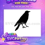 Free Dark Raven Free Spooky Design Crow Silhouette Free SVG - Instant Download
