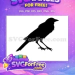 Free Perched Black Crow Free Detailed Silhouette Art Halloween Free SVG - Instant Download