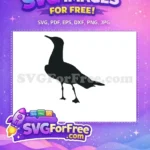 Free Graceful Standing Free Elegant Coastal Bird Seagull Silhouette Free SVG - Instant Download
