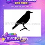 Free Flying Black Free Wings Spread Spooky Crow Free SVG - Instant Download