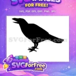 Free Cawing Black Crow Free Detailed Talons Crow Silhouette Free SVG - Instant Download