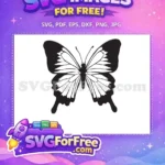Free Elegant Black Outline Free Detailed Wing Patterns Cute Butterflies Free SVG - Instant Download