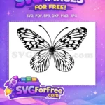 Free Detailed Butterfly Free Elegant Wing Pattern Cute Butterflies Free SVG - Instant Download