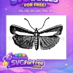 Free Black White Moth Free Vintage Striped Wings Cute Butterflies Art Free SVG - Instant Download