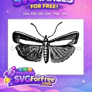Free Black White Moth Free Vintage Striped Wings Cute Butterflies Art Free SVG Free Black White Moth Free Vintage Striped Wings Cute Butterflies Art Free SVG