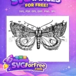 Free Cute Detailed Butterfly Free Intricate Wing Patterns Nature Free SVG - Instant Download