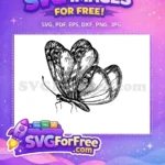 Free Intricate Black White Free Graceful Butterfly Cute Design Free SVG - Instant Download