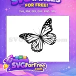 Free Black White Monarch Free Detailed Wings Cute Butterflies Free SVG - Instant Download