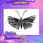 Free Detailed Wing Markings Free Butterfly Drawing Wildlife Free SVG - Instant Download