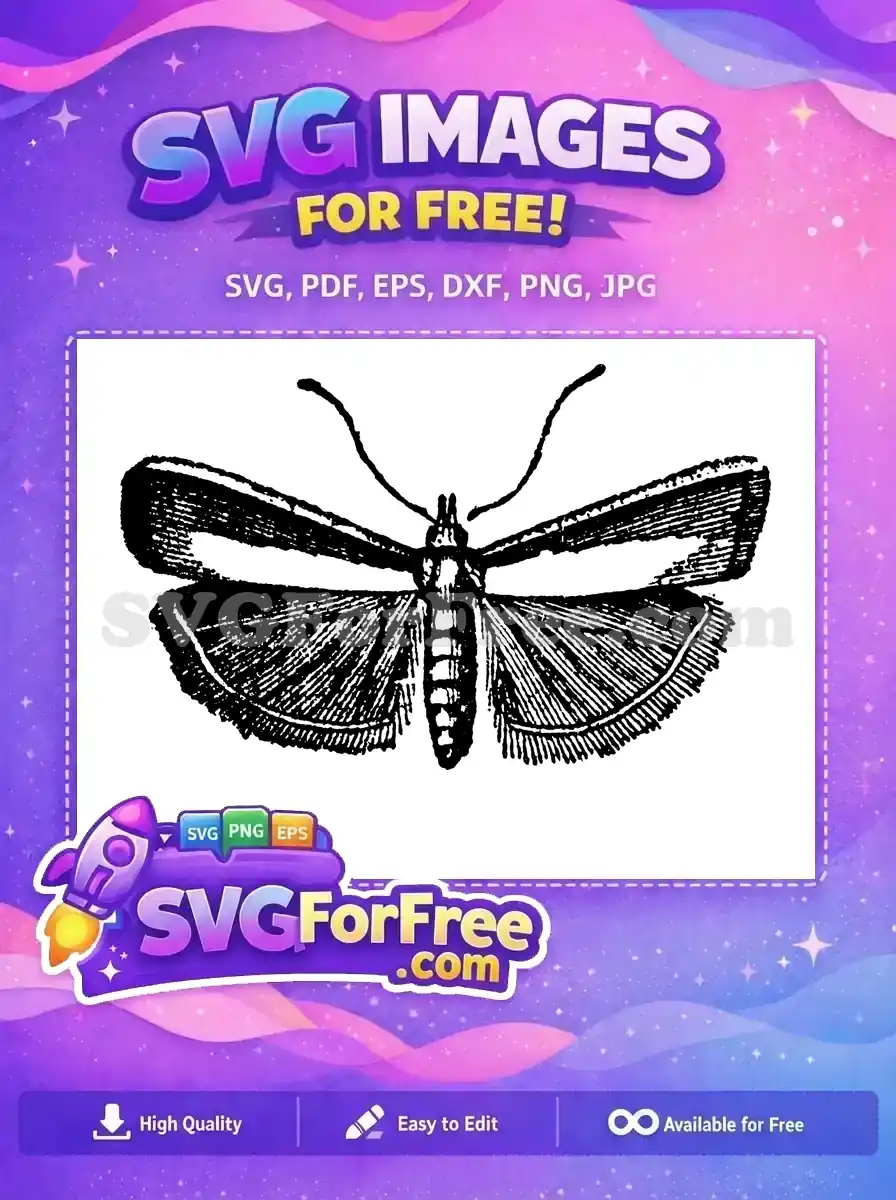 Free Detailed Wings Free Black Stripes Cute Butterflies Free SVG