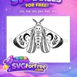 Free Skull Face Free Moon Moth Wings Gothic Moth Art Free SVG - Instant Download