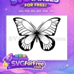 Free Detailed Wings Free Elegant Butterfly Silhouette Free SVG - Instant Download