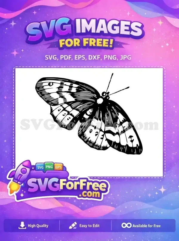 Free Intricate Black White Free Graceful Antennae Cute Butterfly Free SVG
