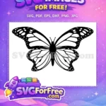 Free Detailed Monarch Free Intricate Outline Cute Butterflies Free SVG - Instant Download