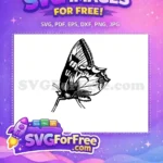 Free Detailed Butterfly Free Artistic Line Art Cute Butterflies Free SVG - Instant Download
