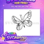 Free Hand Drawn Outline Free Intricate Wing Pattern Cute Butterflies Design Free SVG - Instant Download
