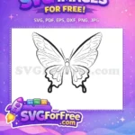 Free Elegant Detailed Outline Free Simple Butterfly Cute Butterflies Free SVG - Instant Download
