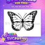 Free Cute Monarch Free Detailed Wing Outline Crafting Project Free SVG - Instant Download