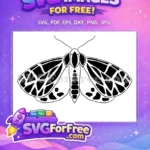 Free Black White Wings Free Detailed Moth Cute Butterflies Free SVG - Instant Download