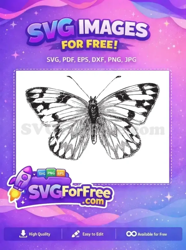 Free Intricate Black White Wings Free Detailed Flying Cute Butterfly Free SVG