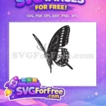 Free Cute Detailed Butterfly Free Intricate Wing Pattern Garden Art Free SVG - Instant Download