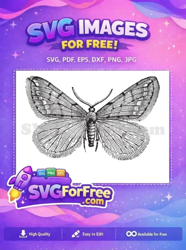 Free Intricate Wing Patterns Free Fluffy Body Antennae Cute Butterflies Free SVG
