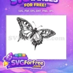 Free Vintage Detailed Butterfly Free Elegant Intricate Wing Cute Butterfly Art Free SVG - Instant Download