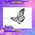 Free Vintage Monarch Free Detailed Wings Cute Butterflies Free SVG - Instant Download