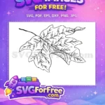 Free Detailed Veins Free Jagged Edge Autumn Maple Leaf Free SVG - Instant Download
