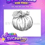 Free Sketchy Black Outline Free Harvest Pumpkin Fall Decoration Free SVG - Instant Download