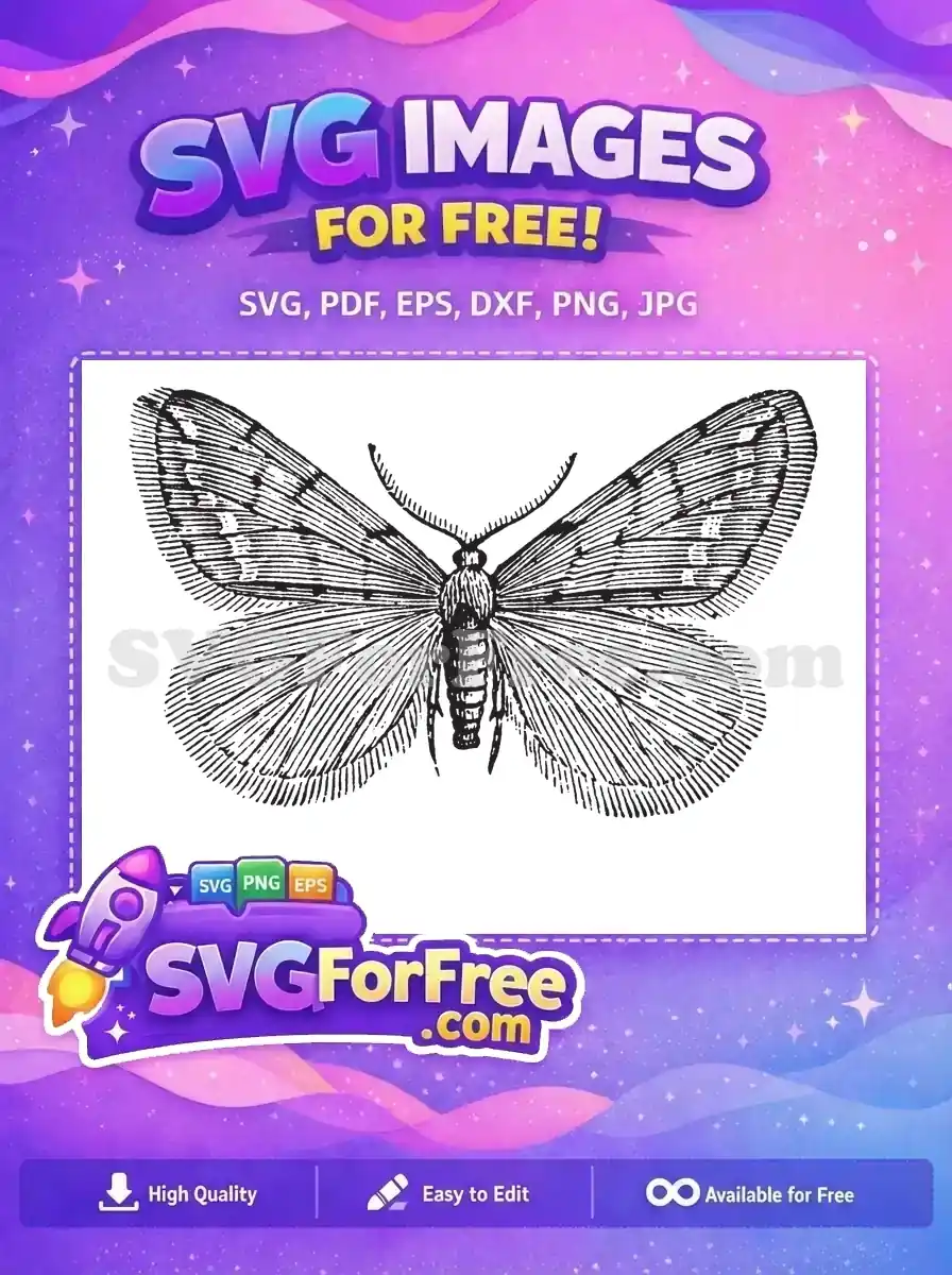 Free Elegant Black White Wings Free Detailed Antennae Cute Butterflies Free SVG