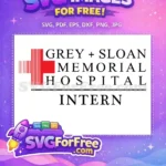 Free Grey Sloan Hospital Free Intern Title Grey's Anatomy Free SVG - Instant Download