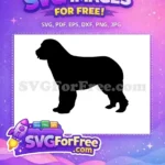 Free Solid Silhouette Free Saint Bernard Dog Breed Free SVG - Instant Download