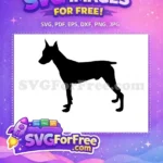 Free Black Doberman Free Standing Pose Dog Breed Free SVG - Instant Download