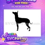 Free Black Silhouette Dog Free Upward Gaze Pointed Ears Doberman Breed Free SVG - Instant Download