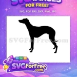 Free Black Greyhound Free Elegant Silhouette Pet Art Free SVG - Instant Download