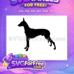 Free Black Doberman Silhouette Free Alert Standing Dog Pet Lover Design Free SVG - Instant Download