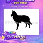 Free Black Collie Silhouette Free Detailed Canine Graphic Dog Breed Free SVG - Instant Download