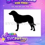 Free Silhouette Dog Breed Free Solid Elegant Design Free SVG - Instant Download