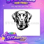 Free Black Labrador Free Vector Head Design Dog Heads Free SVG - Instant Download