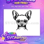 Free alert Chihuahua head Free black outline vector Dog Heads Free SVG - Instant Download