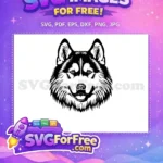 Free Smiling Husky Face Free Detailed Vector Dog Free SVG - Instant Download