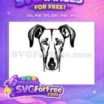 Free Elegant Greyhound Head Free Vector Art Dog Portrait Free SVG - Instant Download